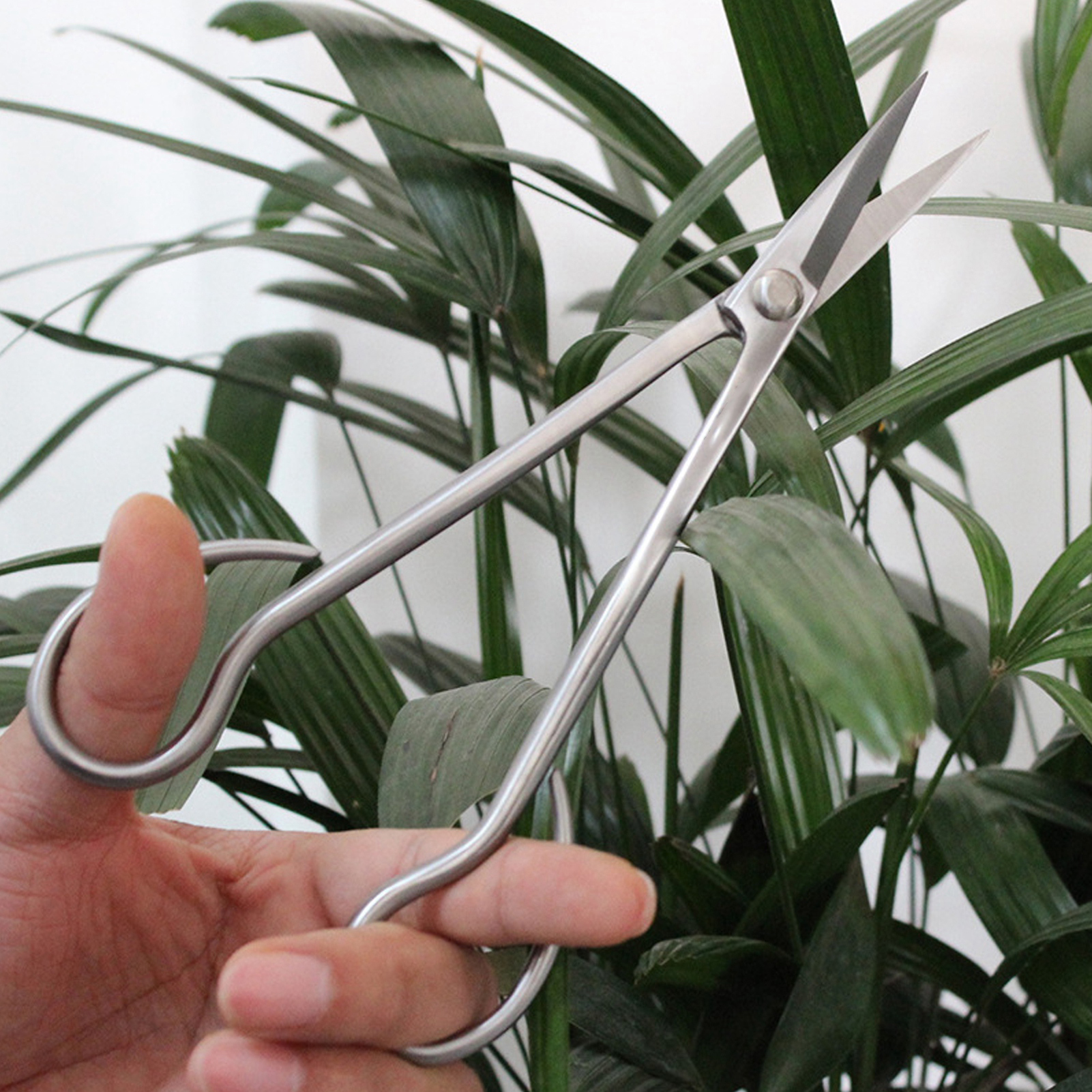195 Mm Edelstahl-knospenschere – Hochwertiges Werkzeug Für Die Bonsai-gestaltung