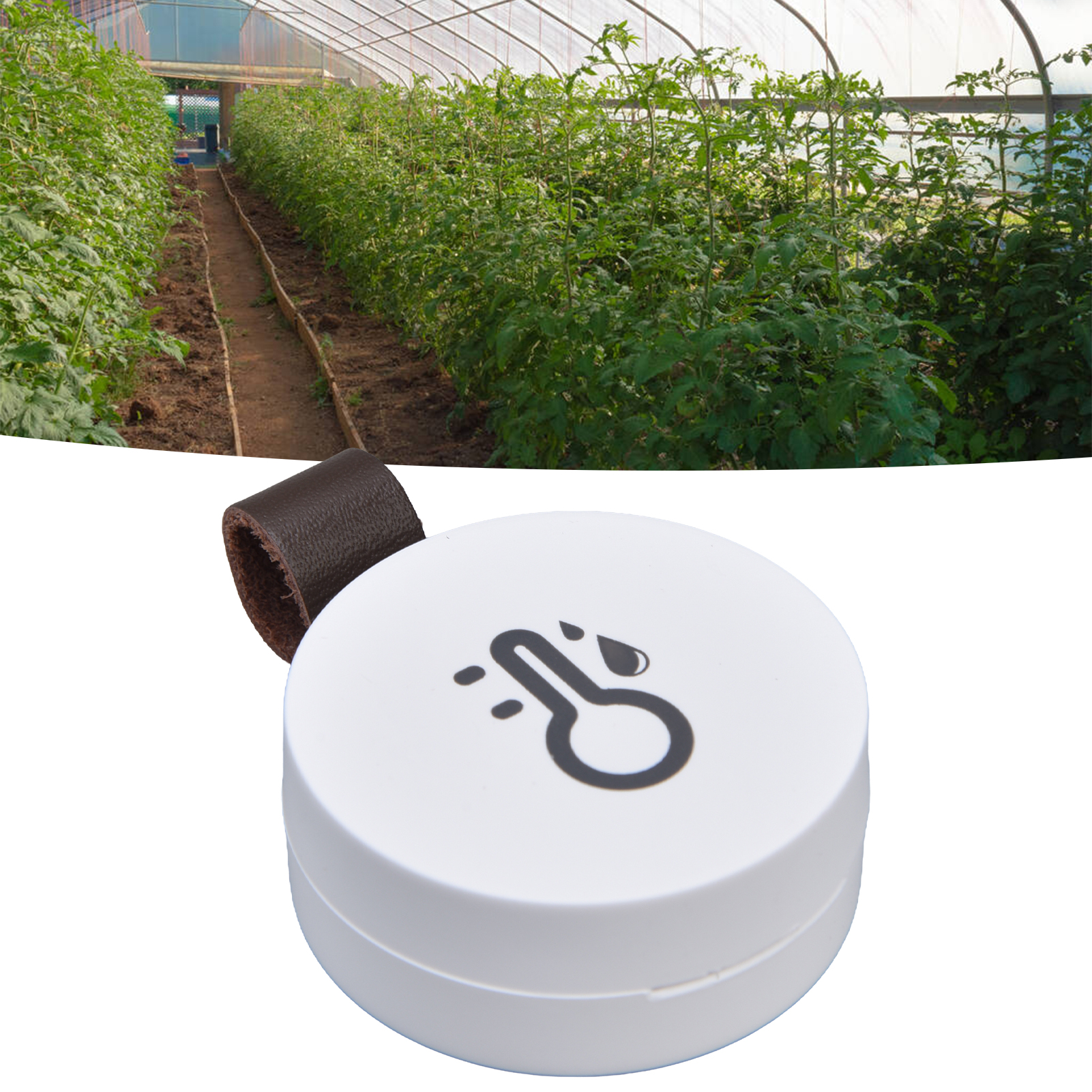 Elektronisches Thermometer Mit Bluetooth 5.0 Datenspeicher-app Kompaktes Mini-thermometer Für Den Gewächshausanbau, Die Feuchtigkeits- Und Temperaturkontrolle.