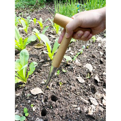 1-teiliges Gartenwerkzeug Aus Holz Für Pflanzlöcher, Manuelles Gartenwerkzeug Für Den Täglichen Gebrauch Zum Pflanzen, Jäten Und Belüften Des Bodens.