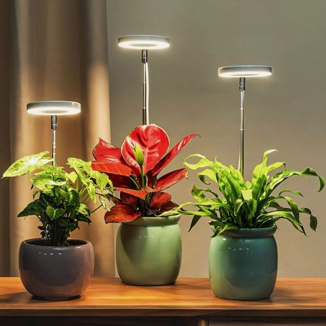 3 Vollspektrum-pflanzenlampen Für Den Innenbereich, Led-pflanzenlampen, Sonnenlichtähnliche Lampen Für Sukkulenten Und Blumen, Mit Einstellbarem Timer, Höhe Und Helligkeit.
