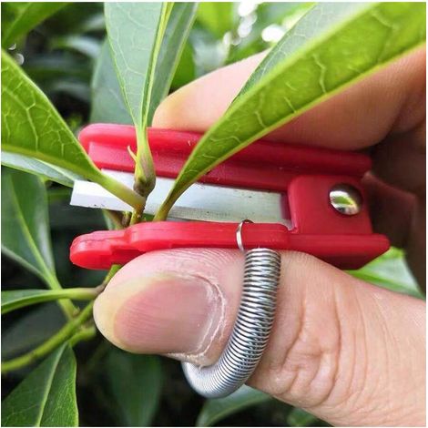 5-teiliges Daumenmesser-set Aus Edelstahl Für Gartenarbeit, Fingerringmesser Zum Pflücken Und Ernten Von Gemüse, Farbe Zufällig
