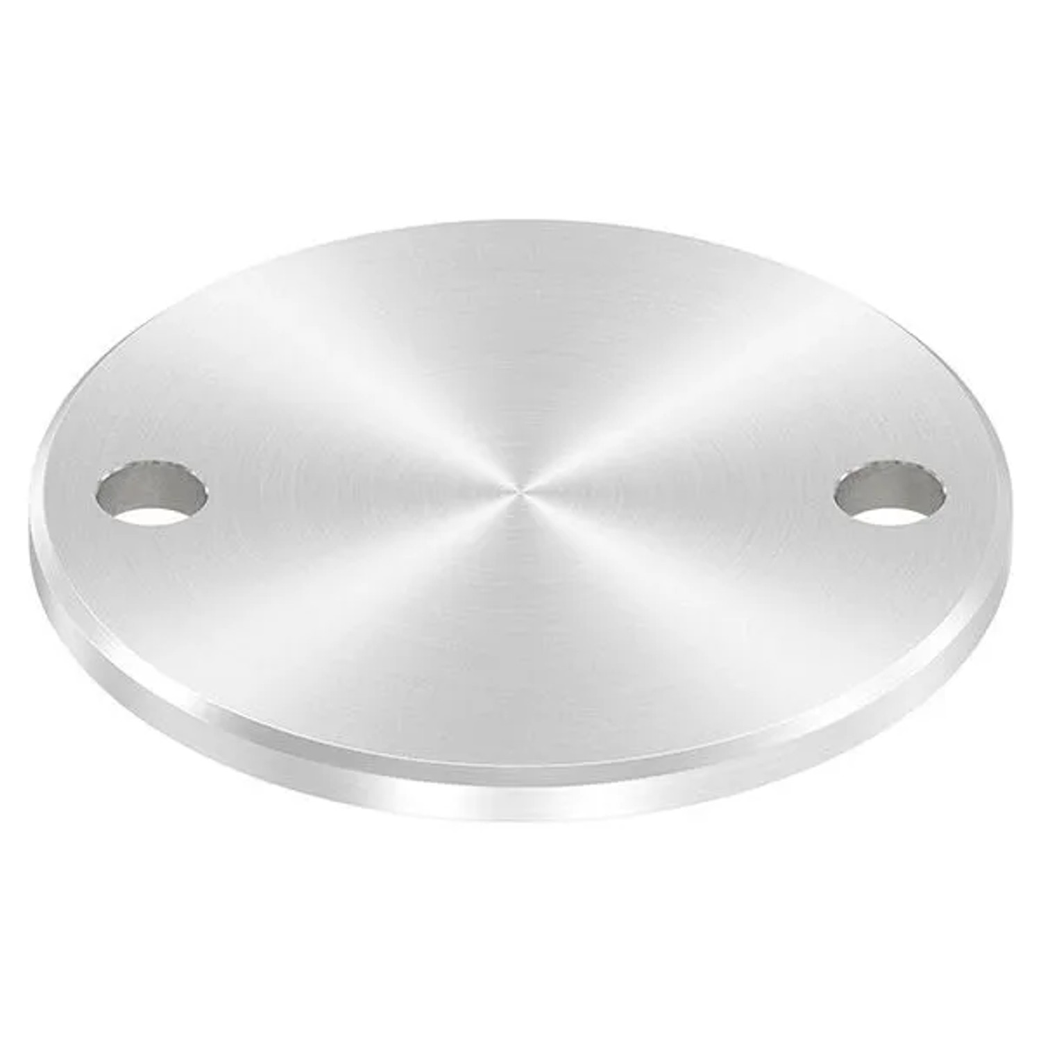 FeNau Ankerplatte Ø 100 X 6 mm Mit 2 Bohrungen Á Ø 11 mm V2A