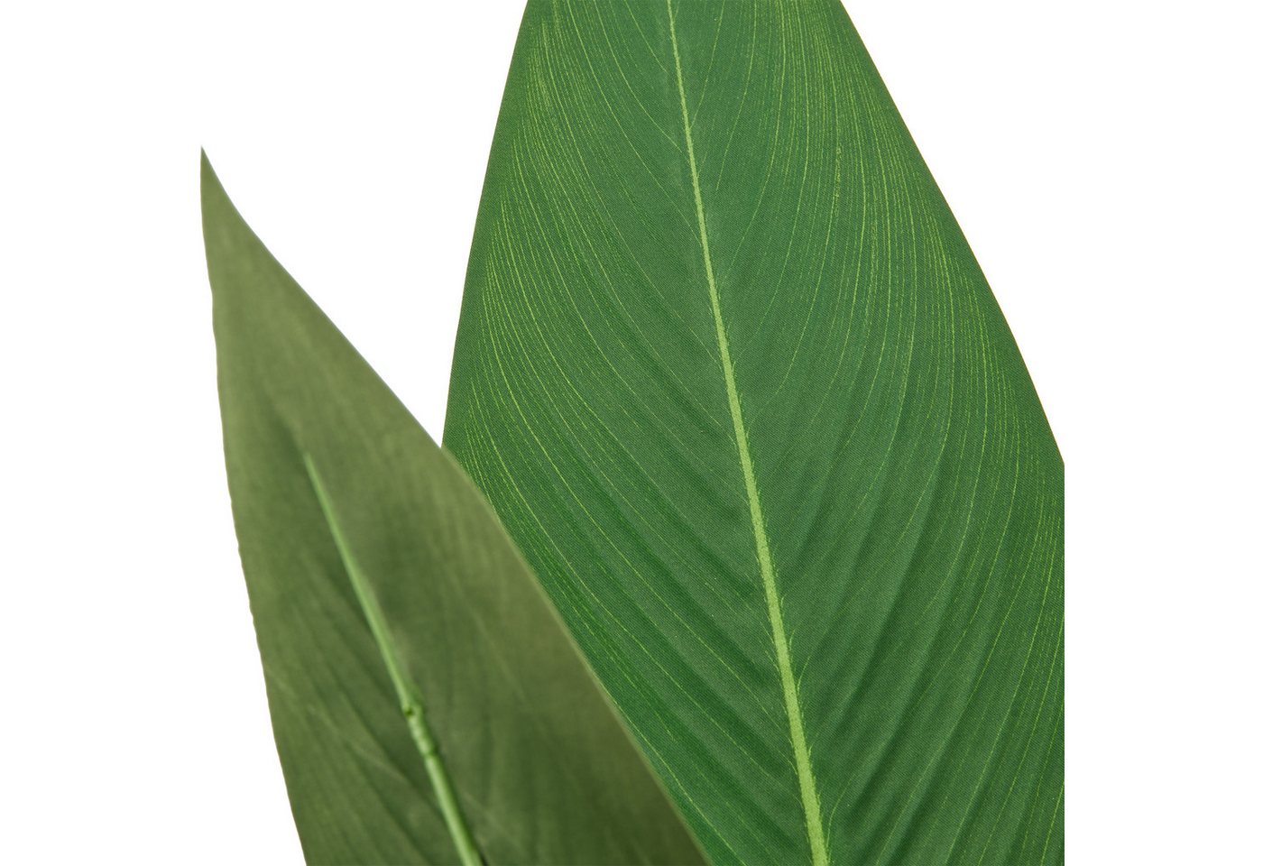 Kunstpflanze Strelitzia reginae, Creativ green, Höhe 175 cm, in beeindruckender Größe
