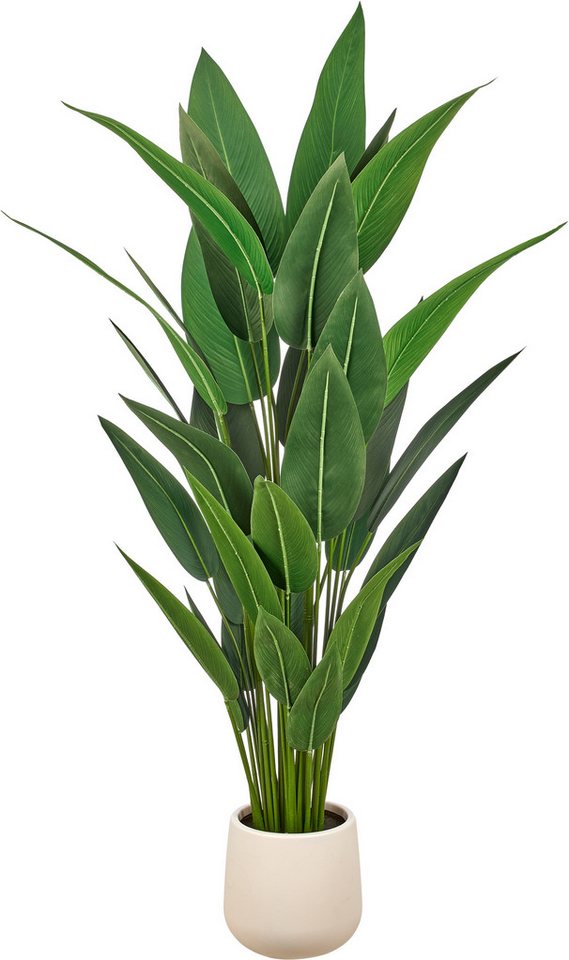 Kunstpflanze Strelitzia reginae, Creativ green, Höhe 175 cm, in beeindruckender Größe Bild 2