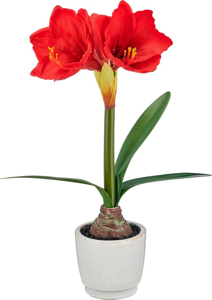 Winterliche Kunstpflanze Amaryllis, wahlweise in rot oder weiß, 48cm hoch, OTTO home, Höhe 48 cm, mit naturgetreuen, großen Blüten im Keramik Übertopf