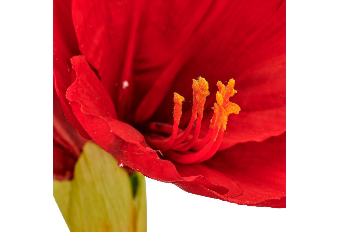 Winterliche Kunstpflanze Amaryllis, wahlweise in rot oder weiß, 48cm hoch, OTTO home, Höhe 48 cm, mit naturgetreuen, großen Blüten im Keramik Übertopf Bild 2