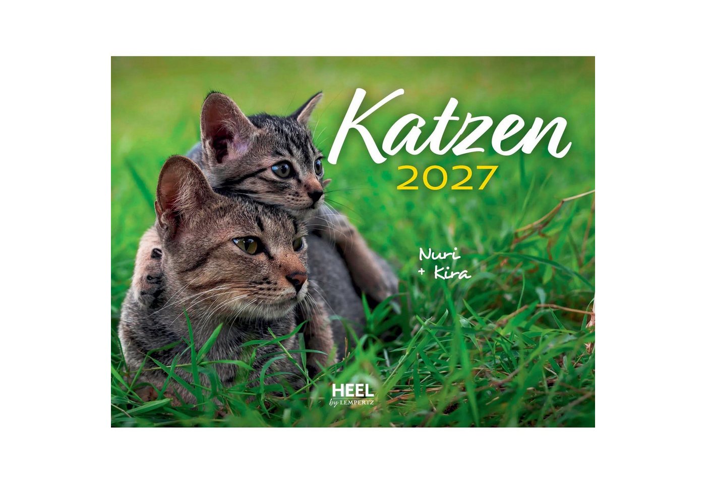 Edition Lempertz Wandkalender Katzen 2027 Eintragkalender Bild 3