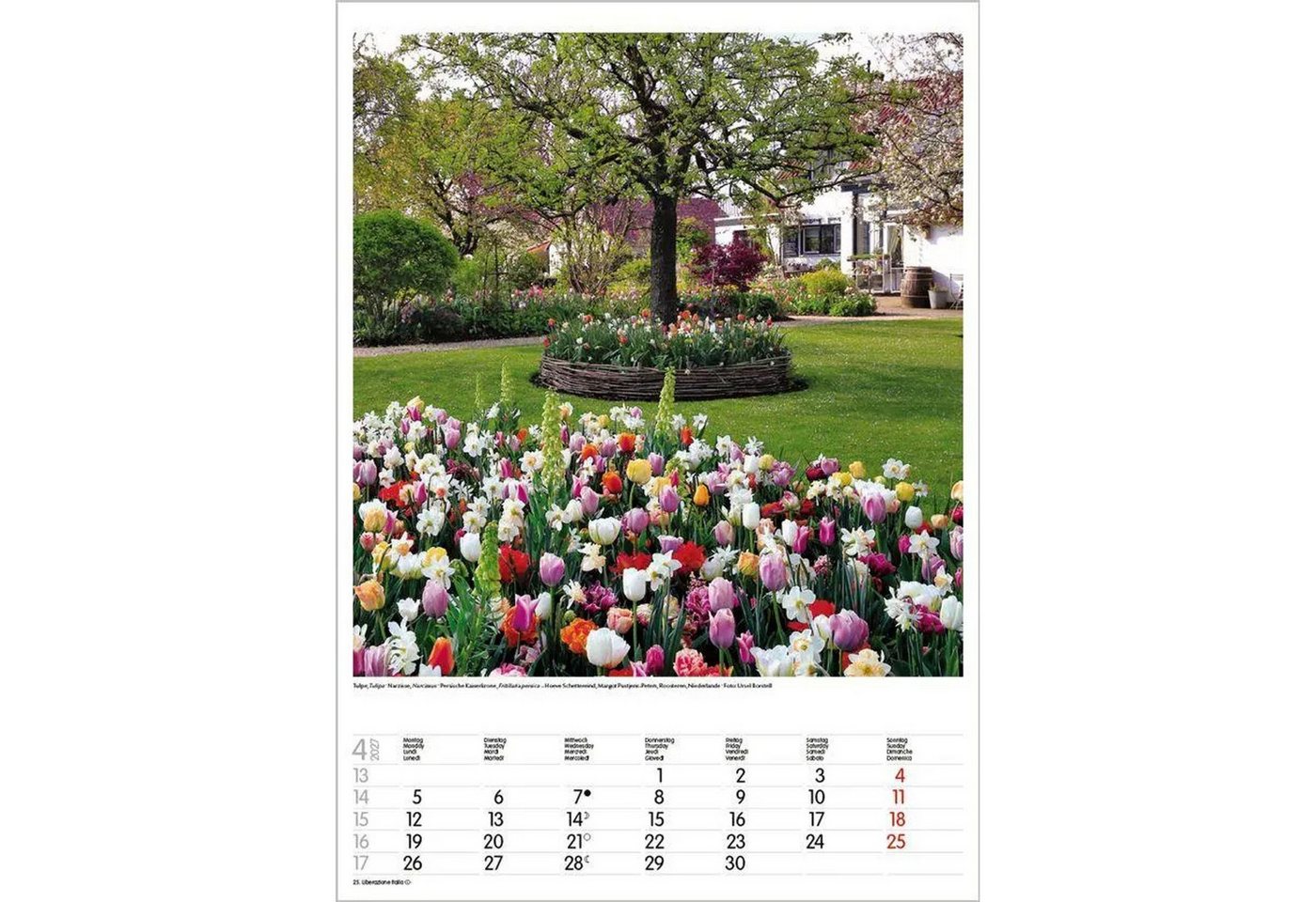Korsch Verlag Wandkalender Gartenträume 2027 Bild 2