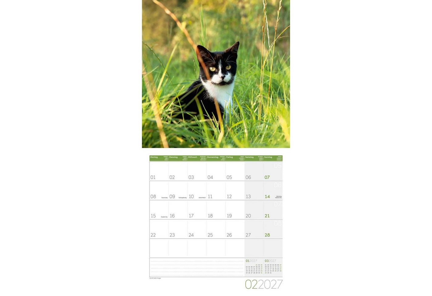 Ackermann Wandkalender Katzen Kalender 2027 - 30x30 - Art12