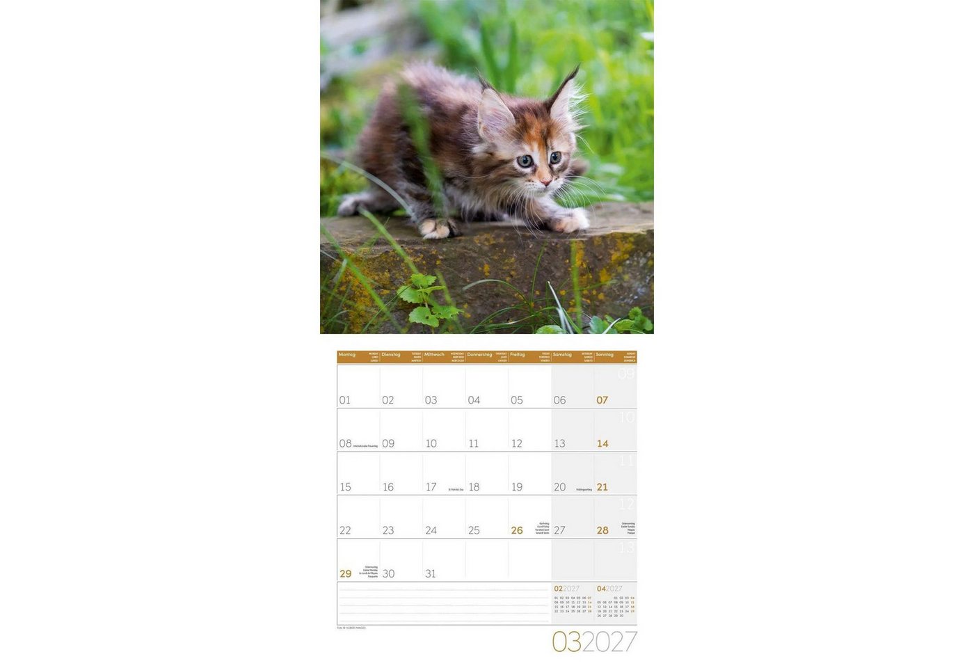 Ackermann Wandkalender Katzen Kalender 2027 - 30x30 - Art12 Bild 3
