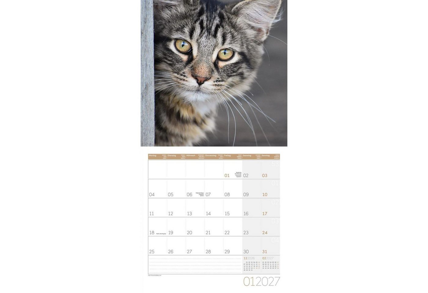 Ackermann Wandkalender Katzen Kalender 2027 - 30x30 - Art12 Bild 4