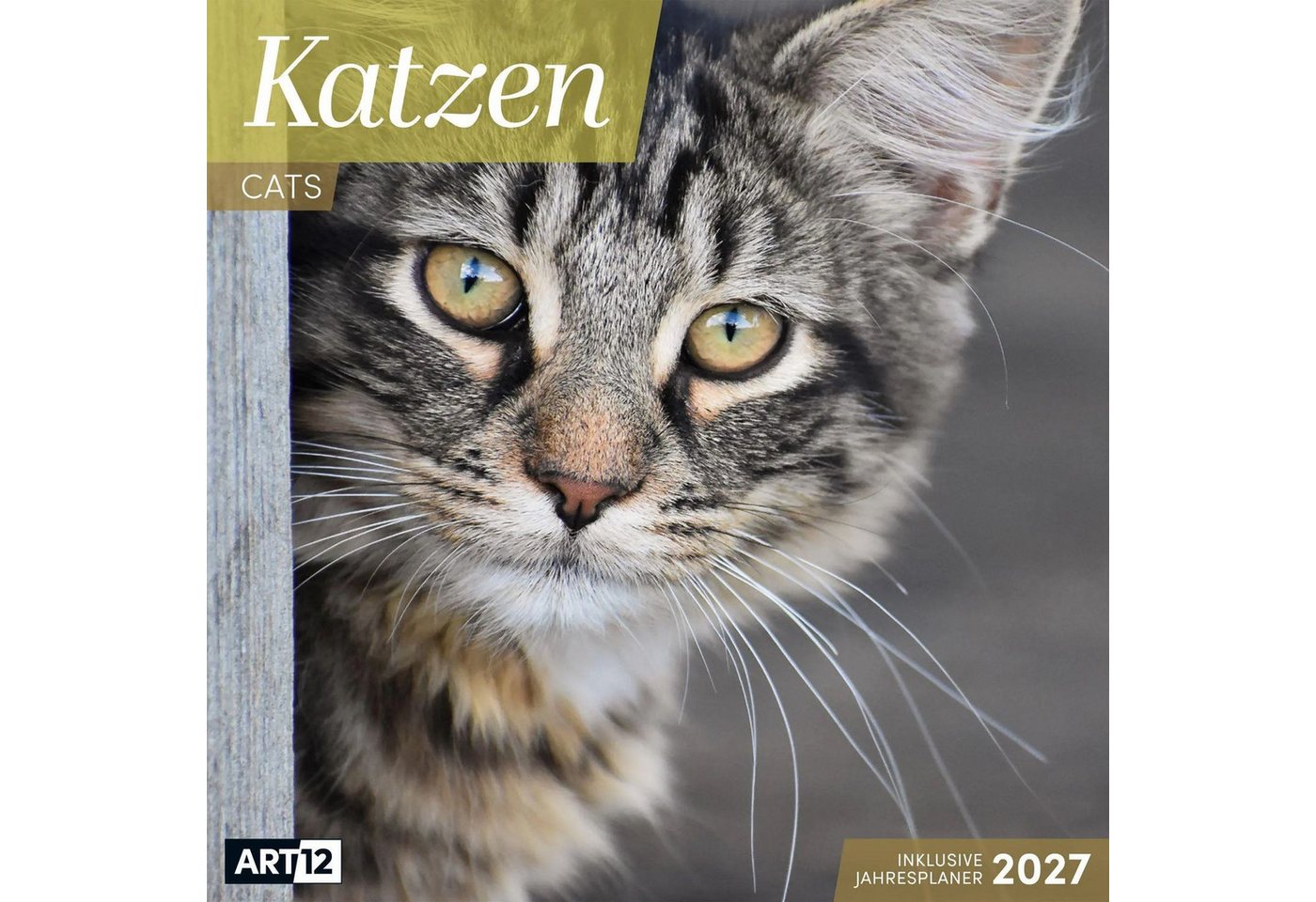Ackermann Wandkalender Katzen Kalender 2027 - 30x30 - Art12 Bild 5