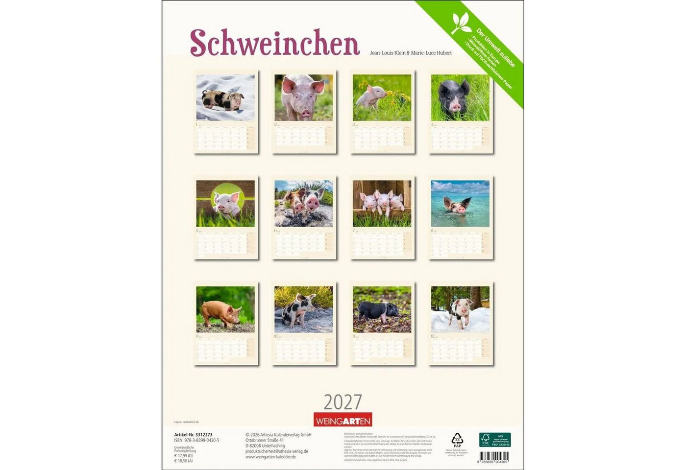 Wandkalender Schweinchen Kalender 2027