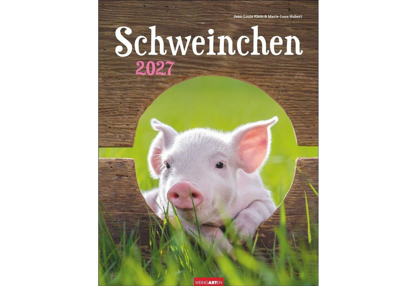 Wandkalender Schweinchen Kalender 2027 Bild 3