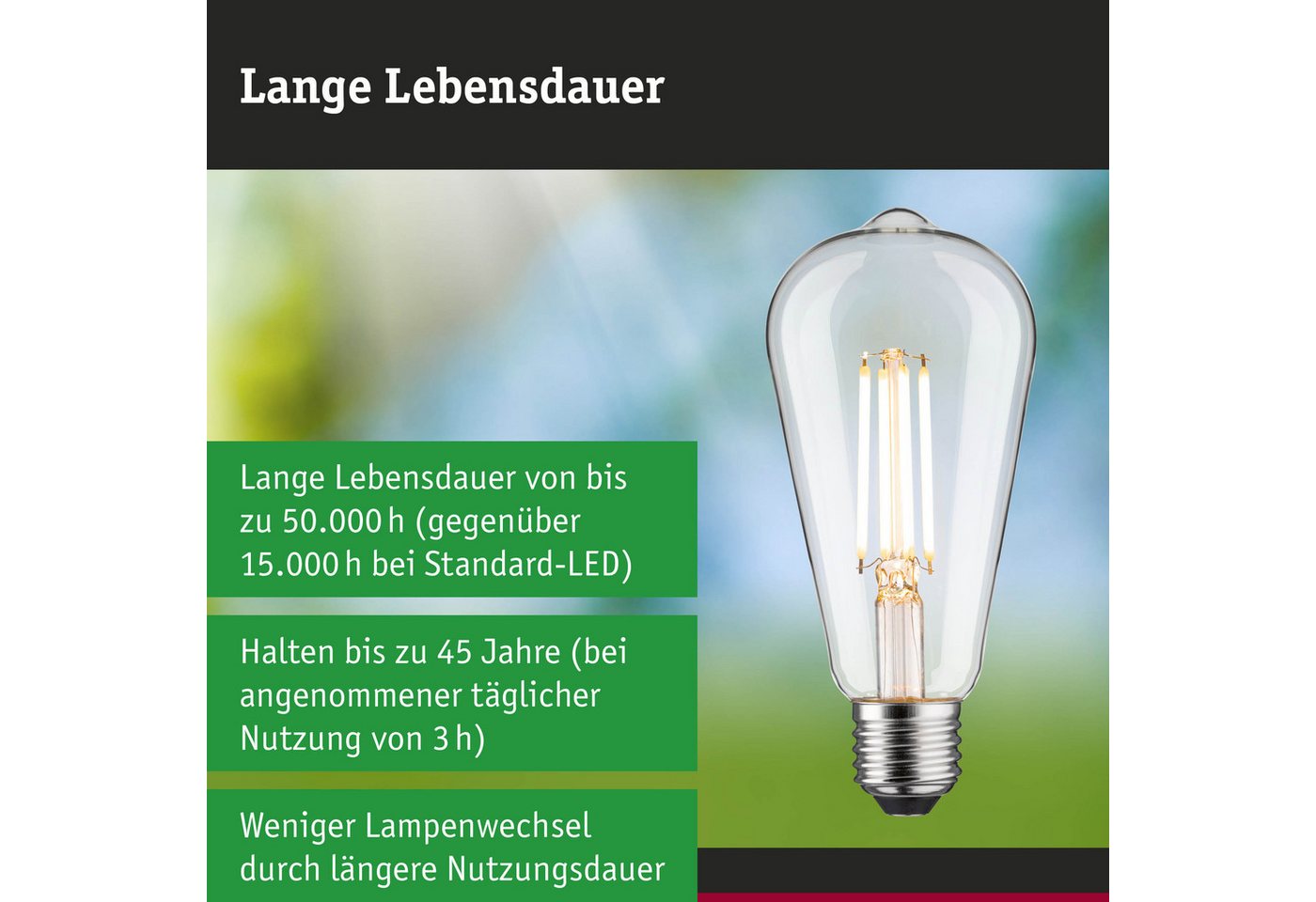 Paulmann LED-Filament Efficient-Line Filament 230V LED Kolben ST64 E27 806lm 4,3W 3000K dimm, E27, 1 St. Bild 4