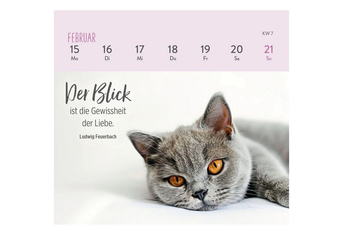 groh Verlag Schreibtischkalender Mini-Wochenkalender 2027: Für Katzenfreunde Bild 2