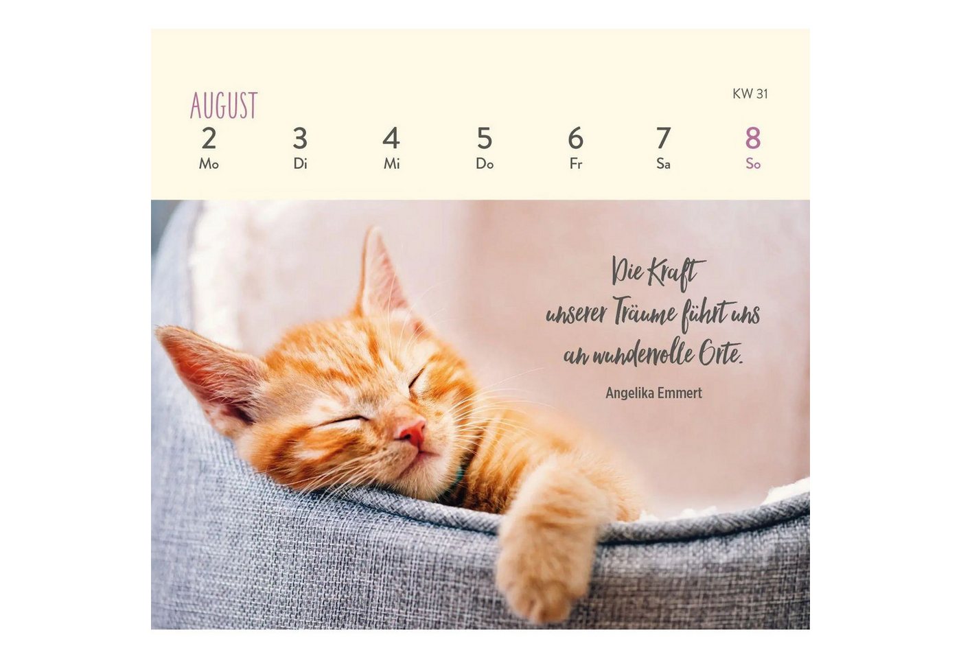 groh Verlag Schreibtischkalender Mini-Wochenkalender 2027: Für Katzenfreunde Bild 3