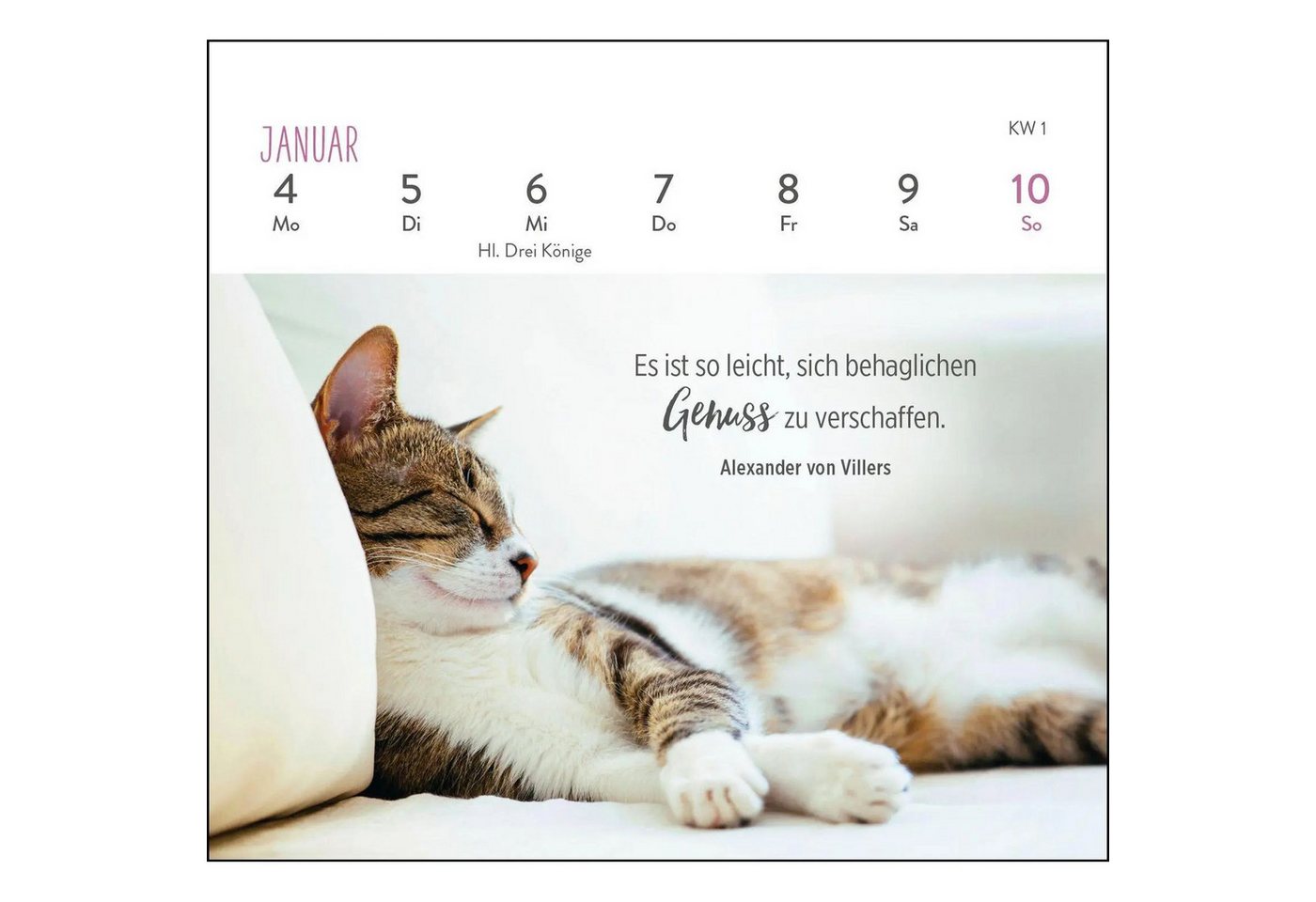groh Verlag Schreibtischkalender Mini-Wochenkalender 2027: Für Katzenfreunde Bild 4