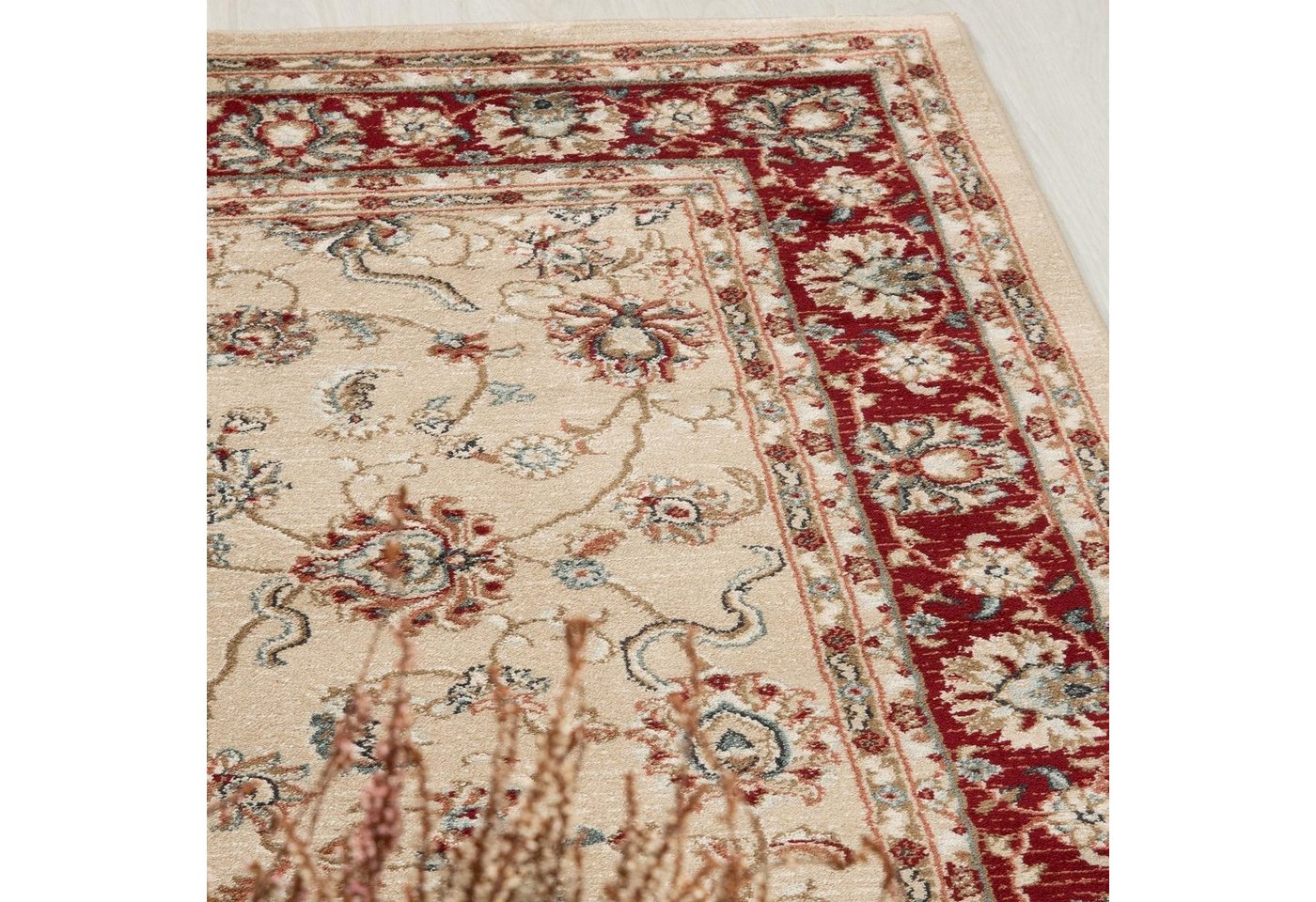 Mazovia Orientteppich Klassisch Bordüre Beige Rot Flur, Diele, Küche, Büro, Fußbodenheizung Bild 3