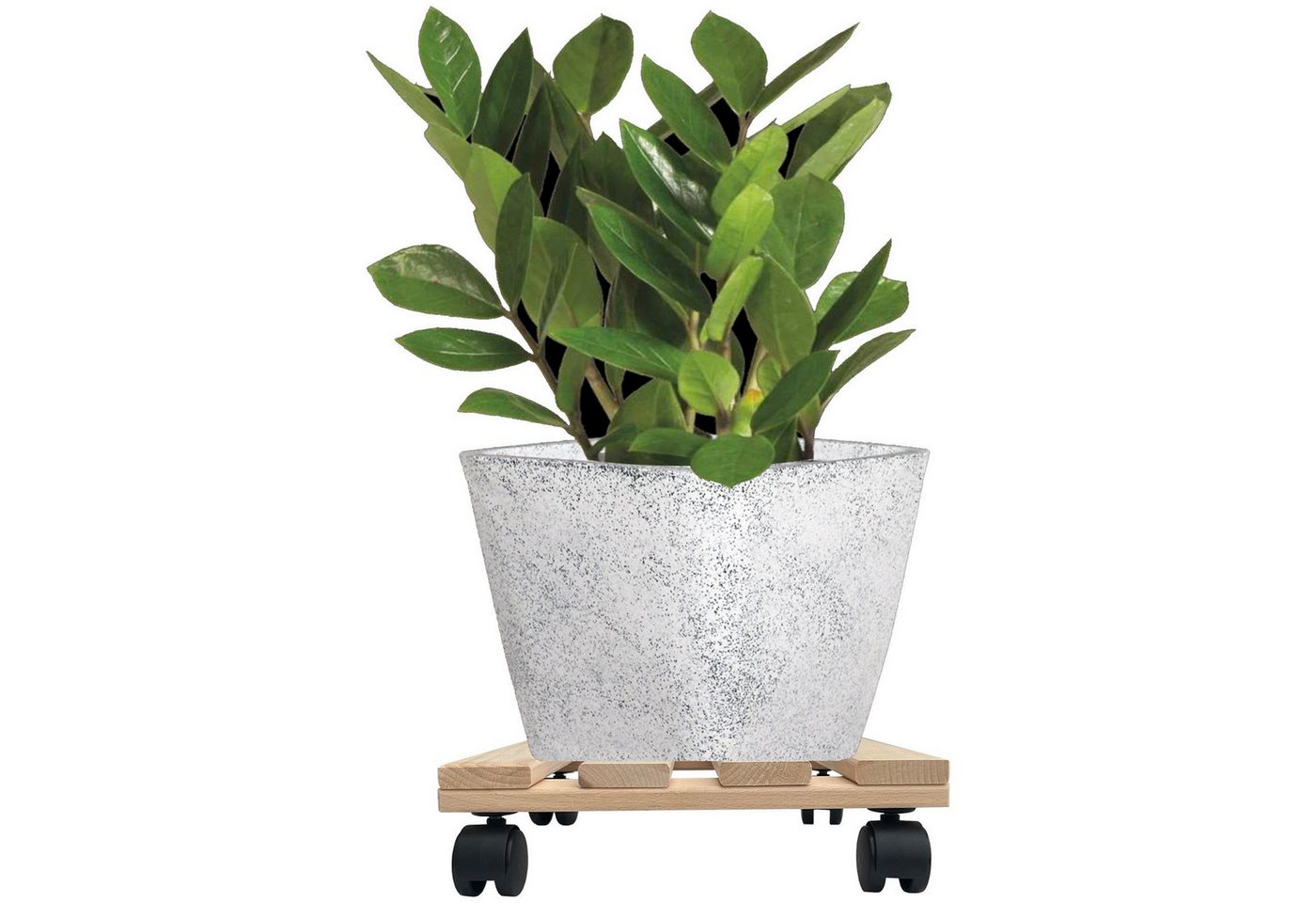 Hossi's Wholesale Pflanzenroller 4x Pflanzenroller Eckig 30cm 120 kg Blumentopf Untersetzer Rollbrett Bild 3
