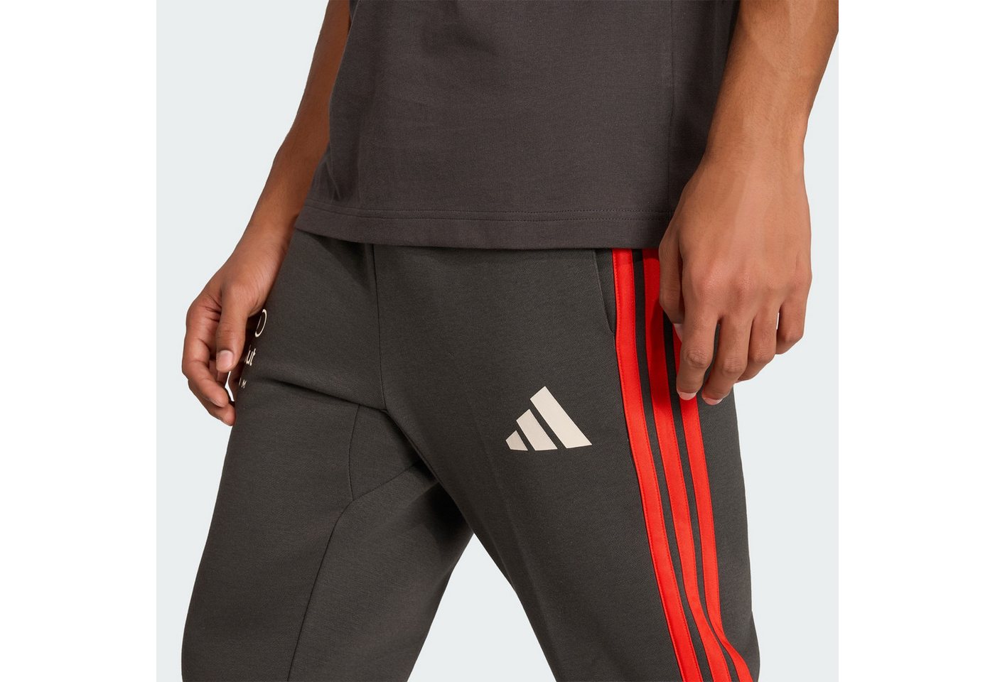 adidas Performance Trainingshose AUDI REVOLUT F1 TEAM DNA HOSE (1-tlg) Bild 5