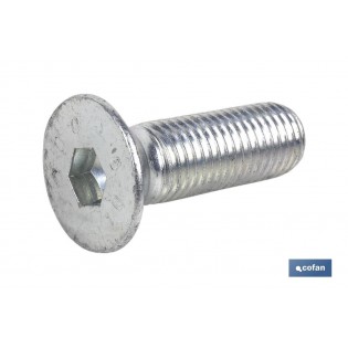 Pack Mit 200 Din-7991 C-10.9 M-5 X 60 Z Schrauben