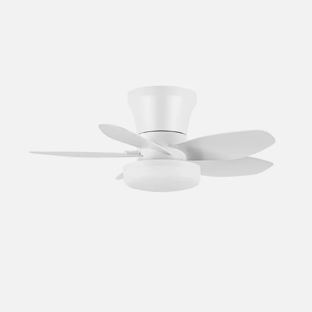 Haran Gleichstromventilator 15 W 1800 Lm Weiß 5asp 62d 3000 K 4200 K 6500 K Einstellbare Intensität + Fernbedienung + Timer + Sp