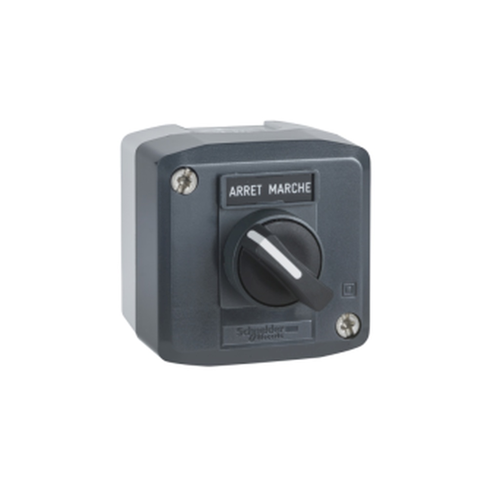Box 1 Sel. Black 2 Fixed Positions C - Schneider: Sel, Material: Plastic, Ip65, Dimensions: 100x100x50 Mm.