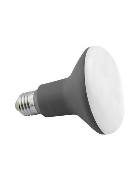 R90 E27 Glühbirne - 880 Lumen - 12w - 3000k, Ledmundo