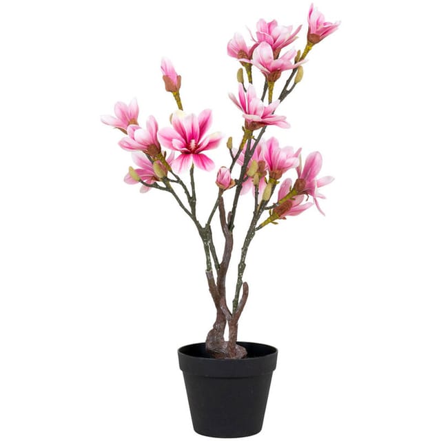 Magnoliatræ Künstliche Pflanze H74 Cm Grün, Rosa.