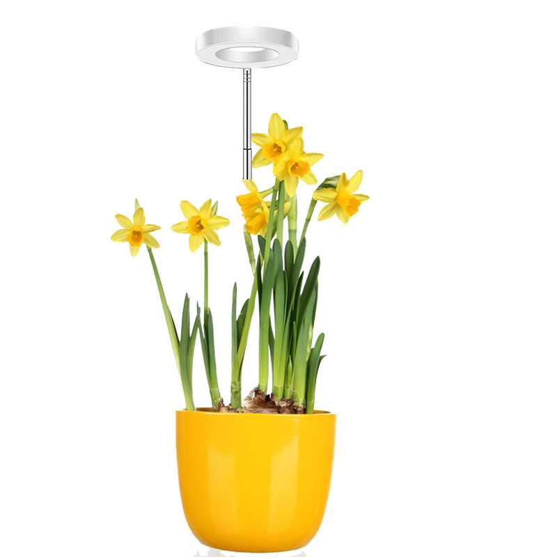 Led-pflanzenlampe Für Den Innenbereich – Vollspektrum-wachstumslampe (rot, Blau, Weiß) Für Büro, Miniatur-landschaft Oder Engels Halo – Höhenverstellbar, Einzelkopf, Usb-stromversorgung – Weißes Gehäu