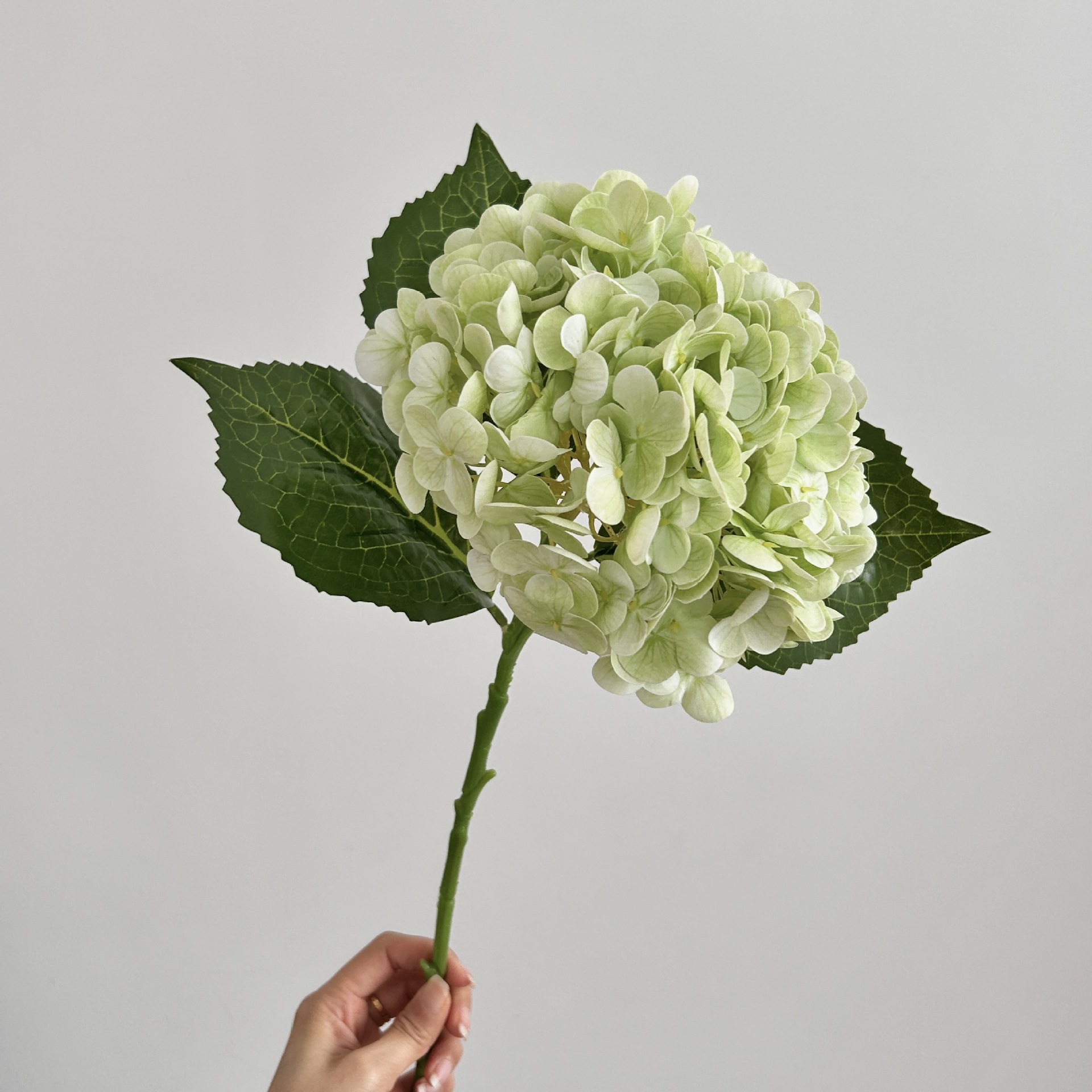 3 Realistische 3d-kunsthortensien In Hellgrün – Elegante Blumendekoration Für Hotels, Hochzeiten Und Professionelle Veranstaltungen