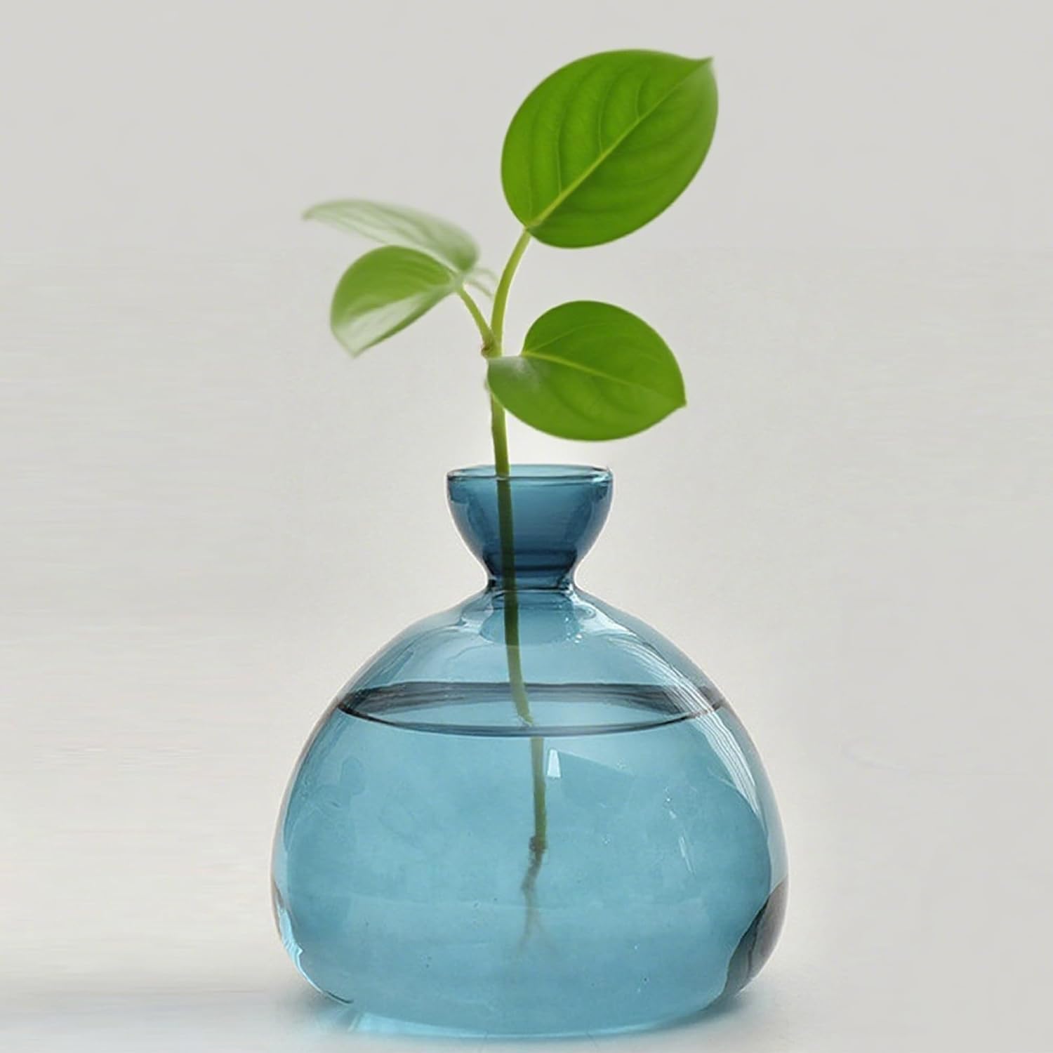 Hydroponische Vase – 1 Stück – Glas – Samenkeimung – Indoor-anbau – Blau