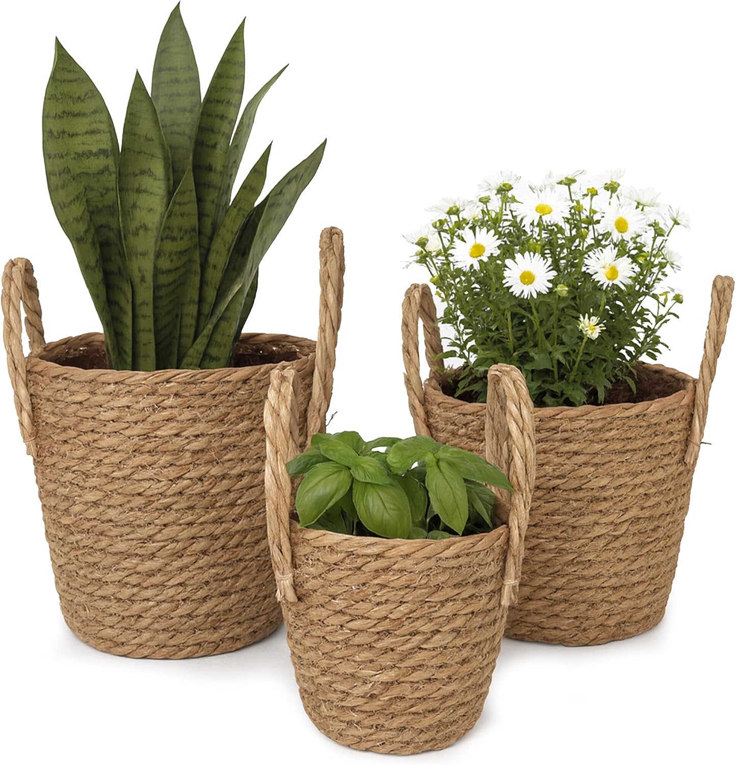 Schilf-pflanztöpfe – 3er-set – Natur – Mit Innenfutter Und Griffen – Bohème-stil – 3 Größen