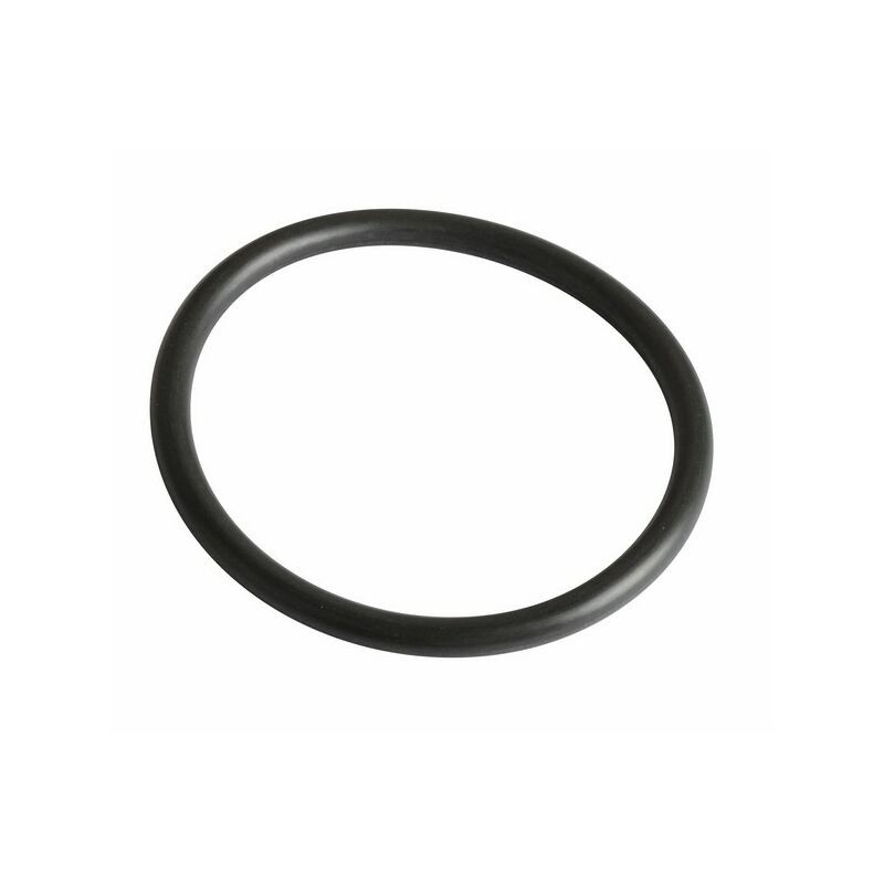 Viton R36 Dichtung (v97 Sensor) - : 240134 - Viton R36 Dichtung (v97 Sensor) - : 240134