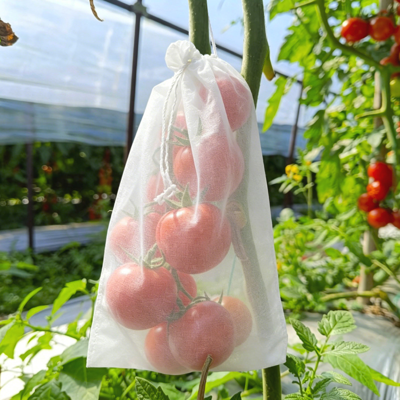 Fruchtschutzbeutel 50 Stück (20x30 Cm) - Anti-fliegen- Und Insektenschutzhaube, Luft- Und Lichtdurchlässig, Wasserdicht Für Garten Und Obstplantage-lsw
