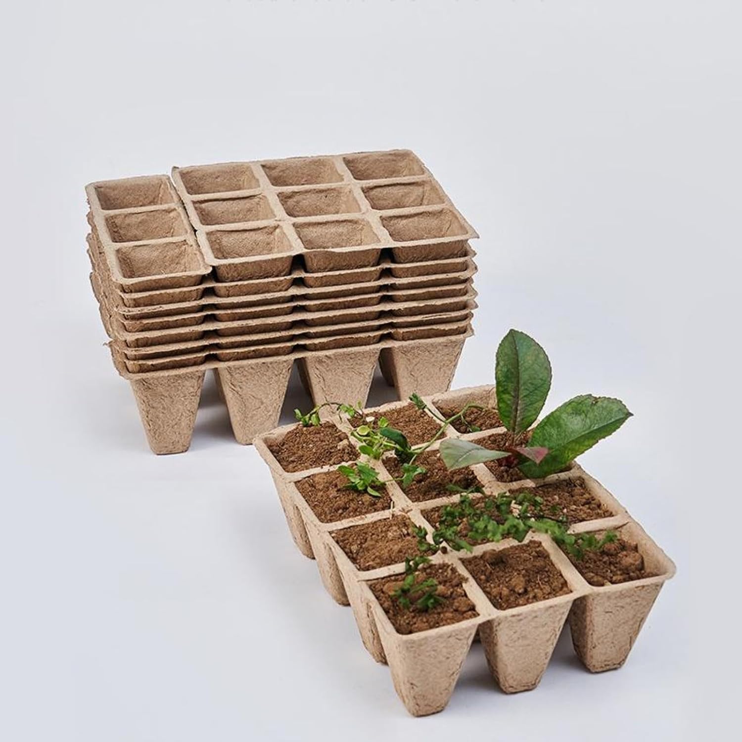 10er-pack Anzuchtschalen – Biologisch Abbaubar – Naturfaser – Optimale Keimung – Für Gemüse Und Blumen – 120 Zellen