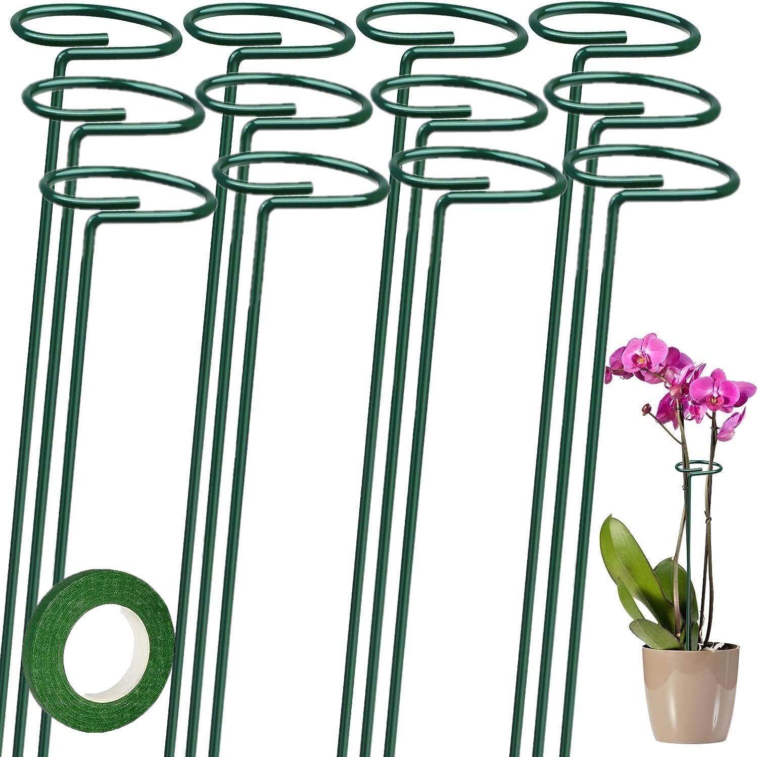 Pflanzenstützen – 12 Stück – Grün Beschichteter Stahl – 6 Cm Offener Ring Mit Band – Für Gartenblumen Und Gemüse – 40 Cm Hoch