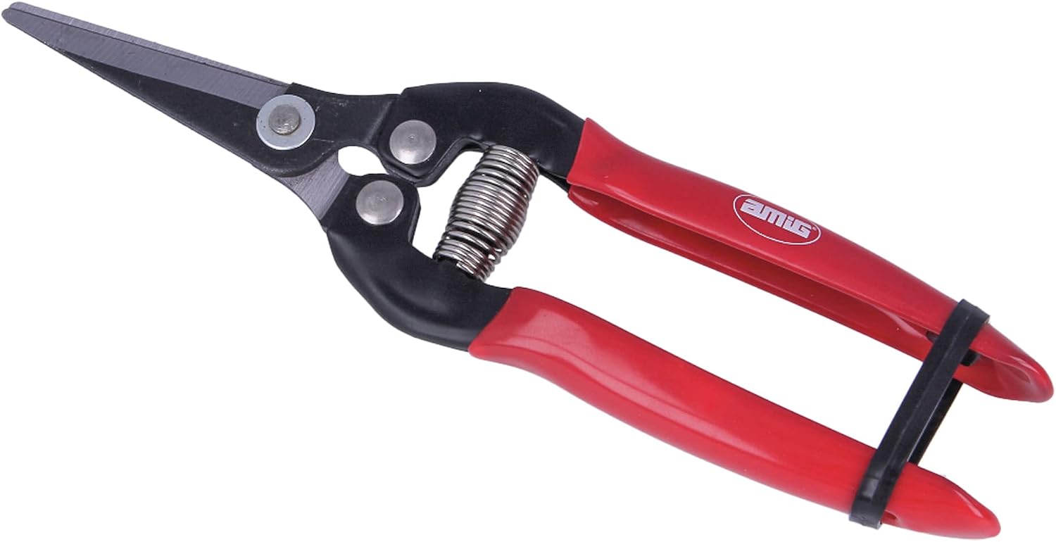 Einhand-gartenschere Speziell Für Die Ernte Gerade Stahlklinge 185 Mm Rutschfester Griff Gebogene Spitze Zum Schneiden Von Blumen, Ernten Von Obst Und Weintrauben