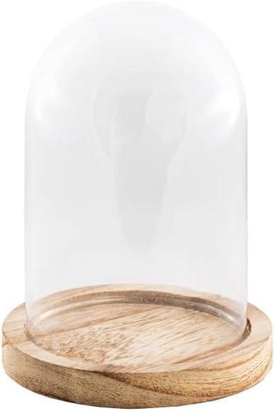 Glasglocke – 1 Stück – Holz Und Glas – Transparente Kuppel – Wohnzimmerdekoration, Regal, Tisch – 8 X 12,5 Cm