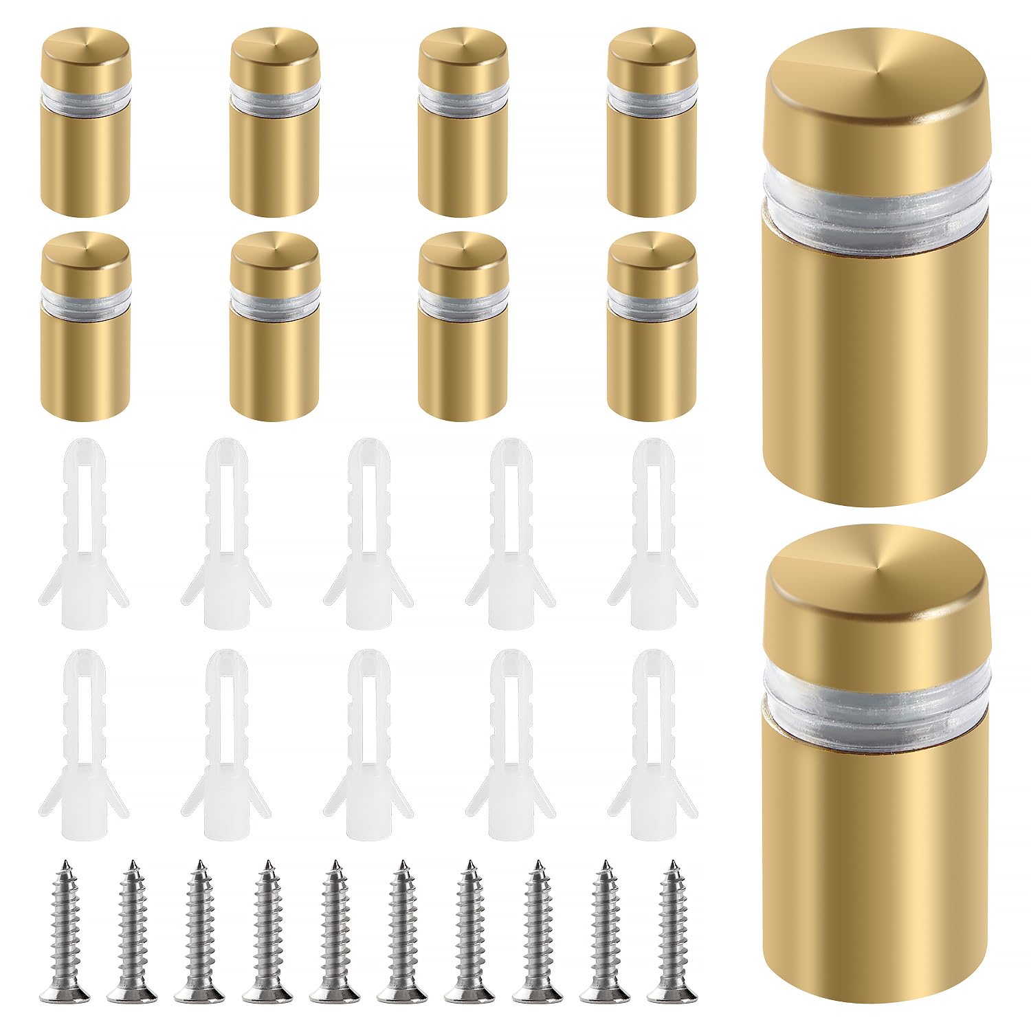 Set Mit 10 Dekorativen, Vergoldeten Edelstahlschrauben, 12 X 20 Mm – Zur Befestigung Rahmenloser Glasscheiben – Für Büros Und Kunstgalerien