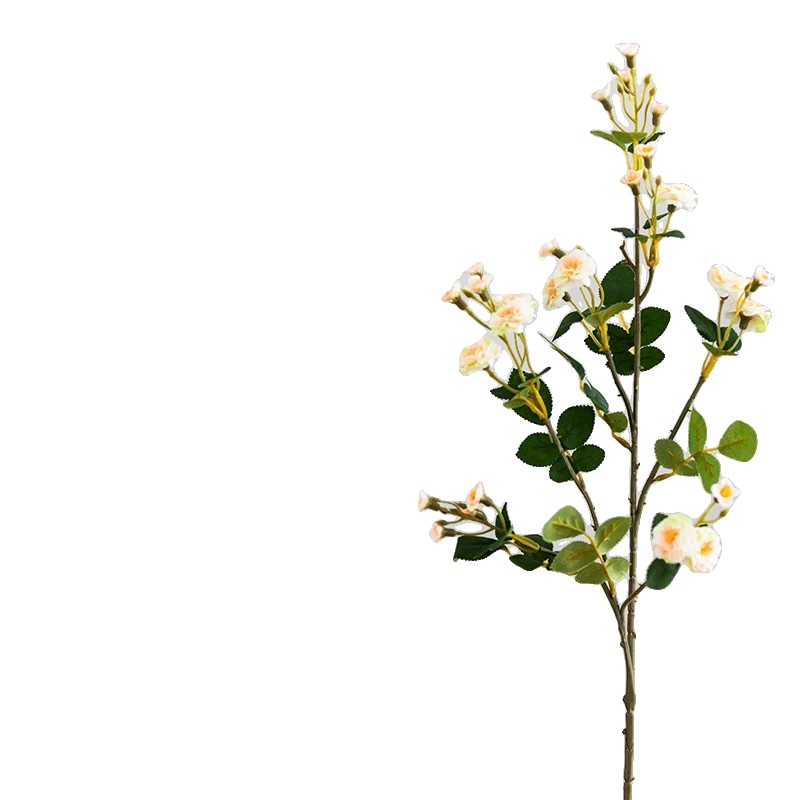 Rosen Dekoration, Künstliche Seide, Für Den Innenbereich, Champagner