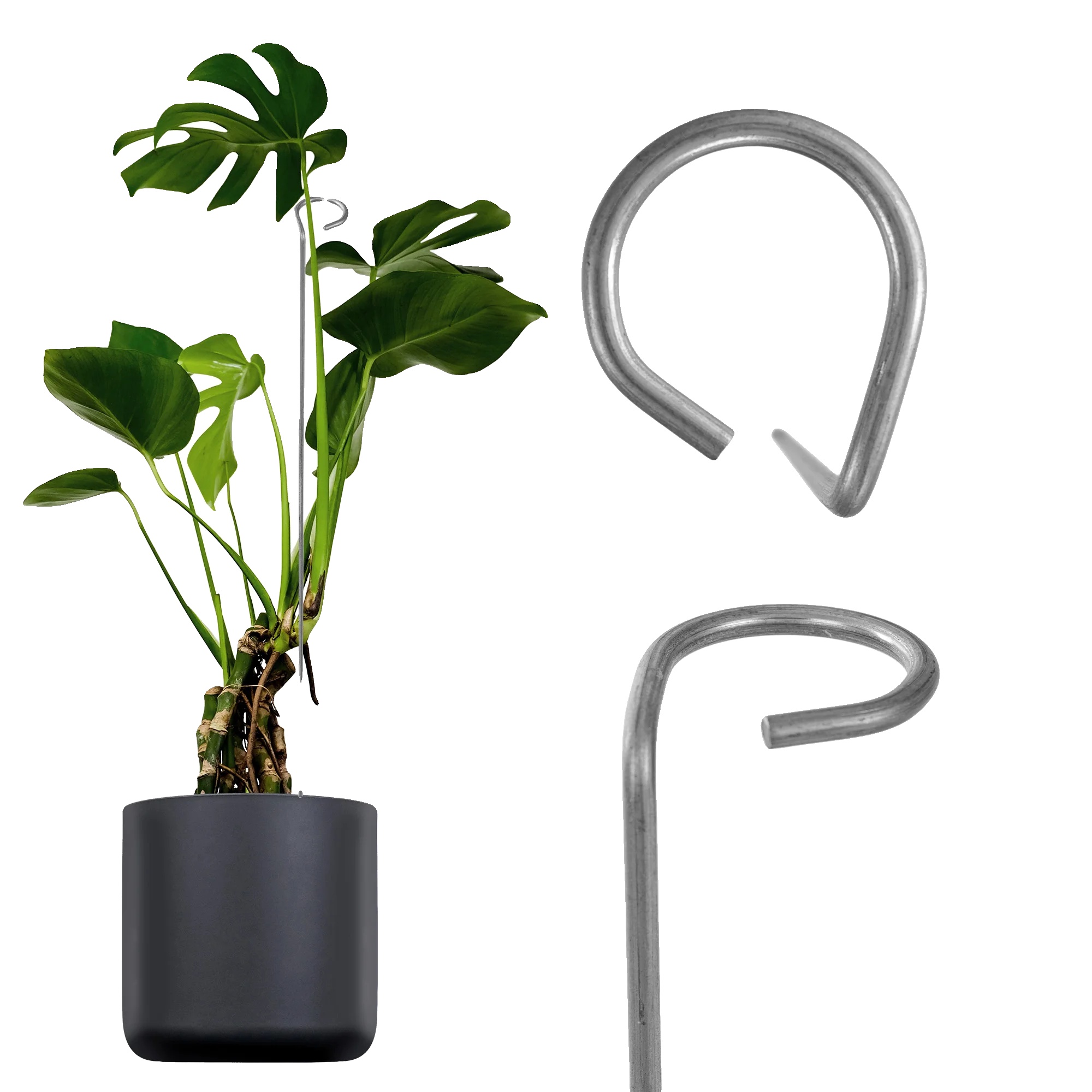 Pflanzenstütze, Stahlmaterial, Höhe 60 Cm, Geeignet Für Gartenblumen, Korrosionsbeständig, Pulverbeschichtete Oberfläche