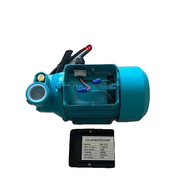 Zentrifugalwasserpumpe, Hohe Durchflusskapazität, Selbstansaugendes Design, Einführung, 12v