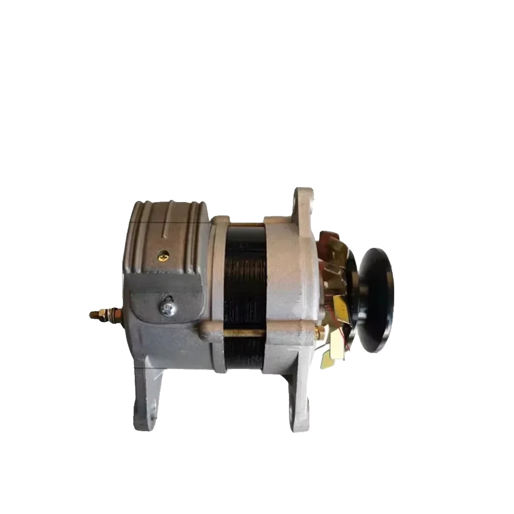 Generator, Hohe Leistungsausgabe, Bürstenlose Technologie, 800w, 220v-a