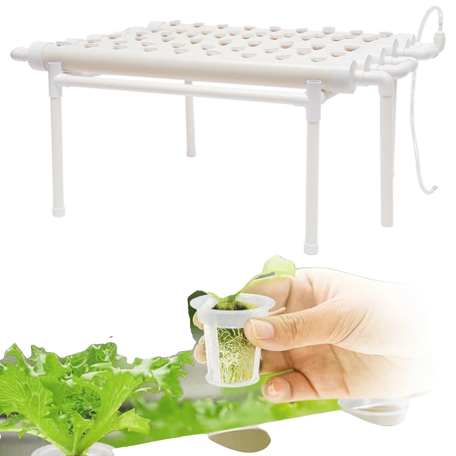 Hydroponisches Anbauset, 54 Pflanzenstandorte, Effiziente Nährstoffverteilung, Weiss