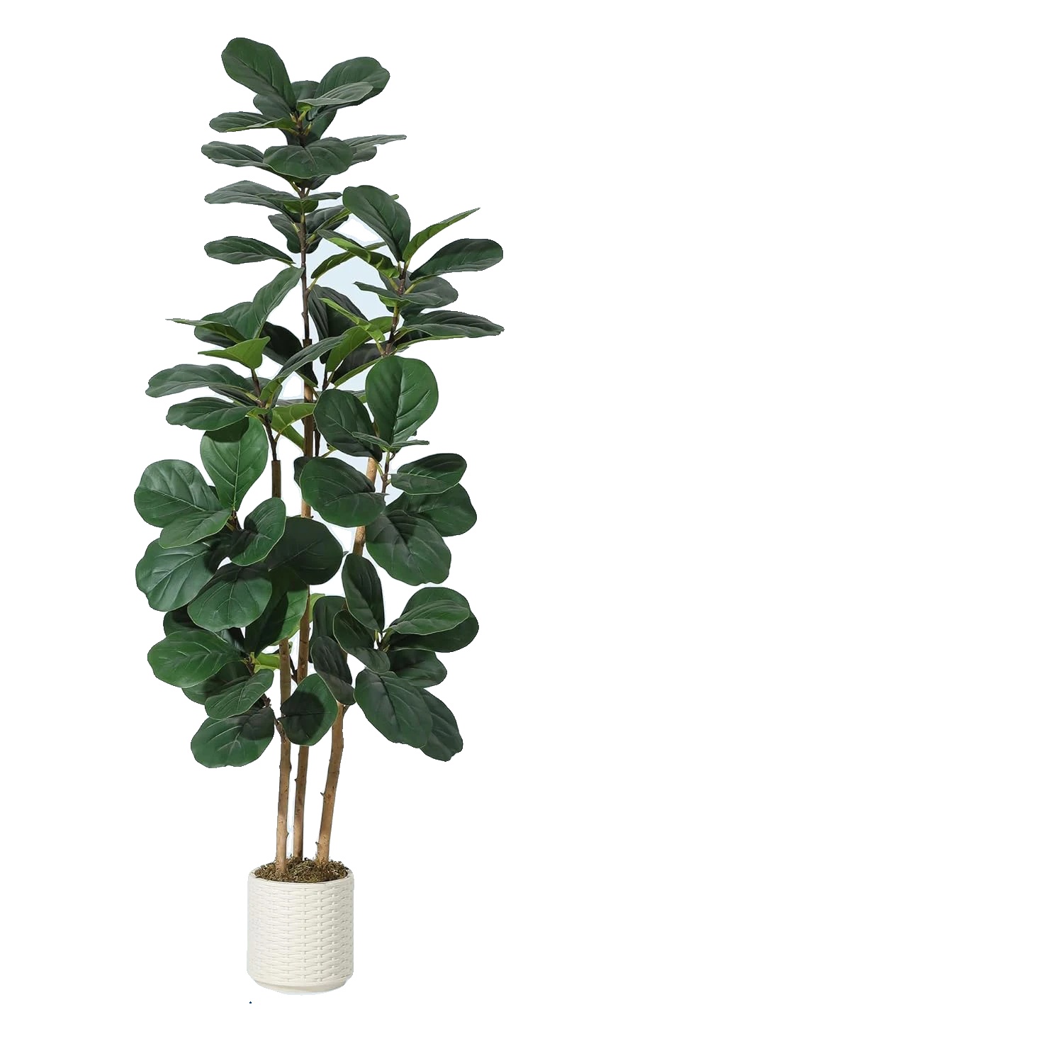 Künstlicher Geigenfeigenbaum, Leicht Zu Reinigen, Innendekoration, 150cm