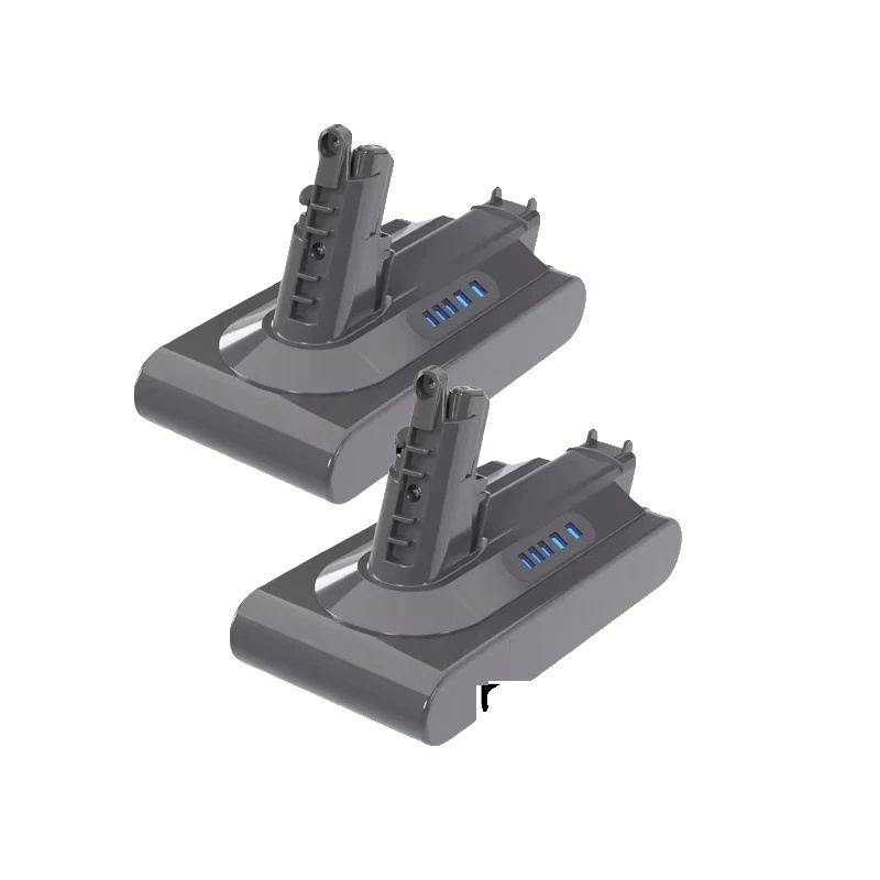 Batterien, Lithium-ionen, Hohe Kapazität, 2 Stück 6.0 V10