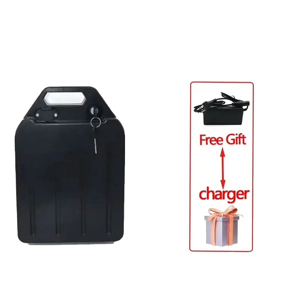 Elektromotorrad-batterie, Lithium-ionen, Mehrere Kapazitätsoptionen, A-60v 40ah-ladegerät