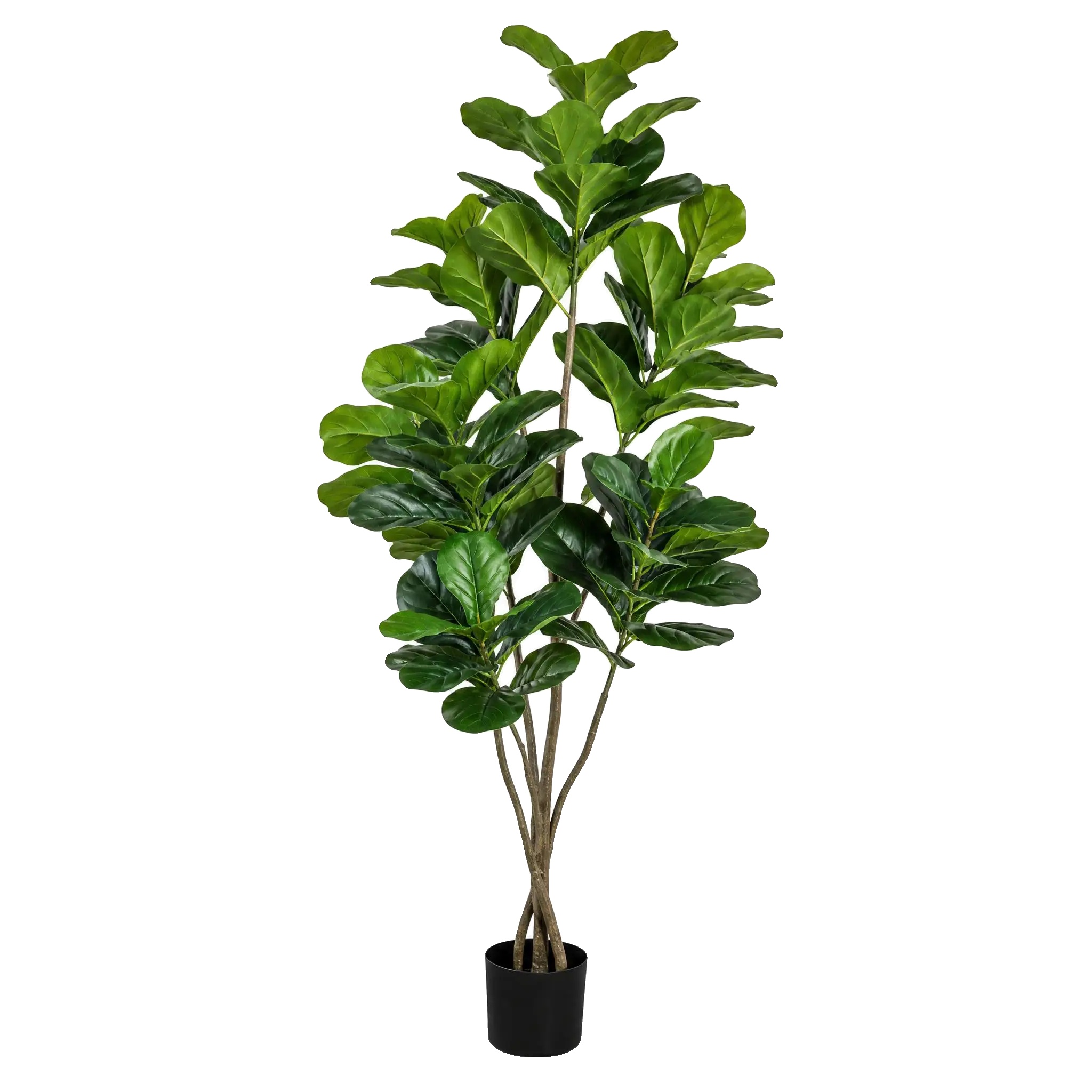 Ficus Lyrata Baum, 1,5 M Höhe, Für Den Innenbereich, Lebensechtes Seiden- Und Pe-material, Einfache Einrichtung, Keine Wartung Erforderlich